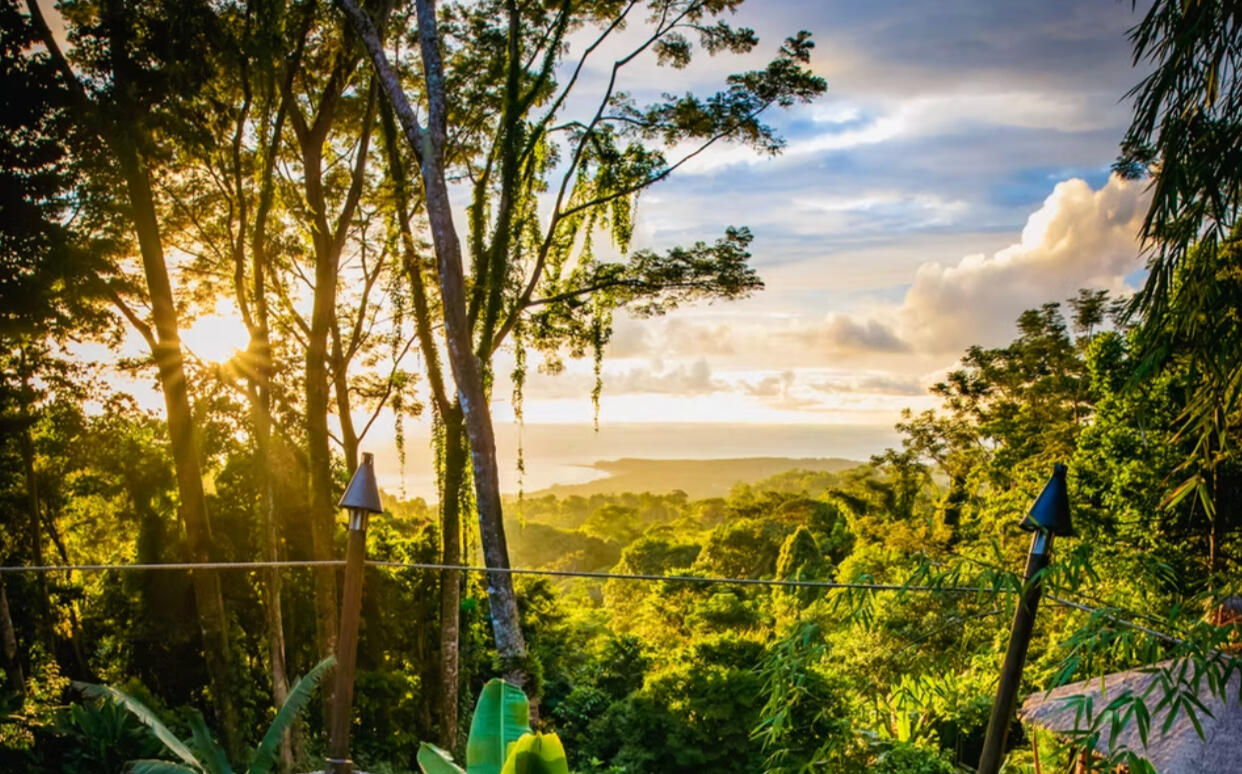 jungle overlooking beach in costa rica
